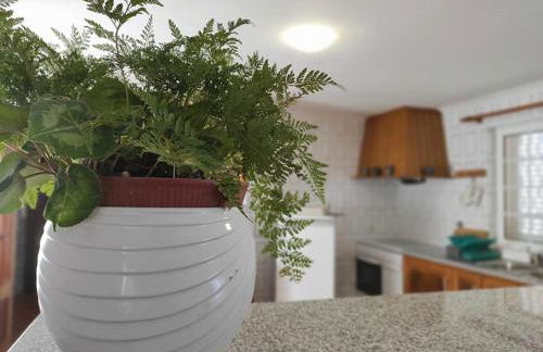 Casa do Canastro - Foto 8