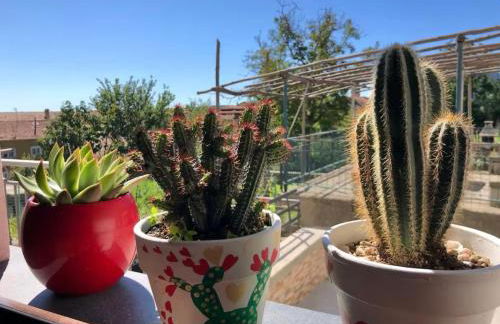 Casa Vacanza Raffaella - Foto 13