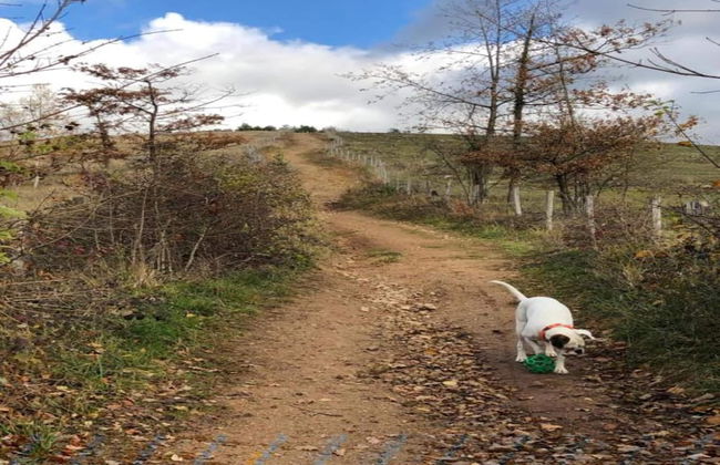 Rendeux Forest View Retreat - Photo 28