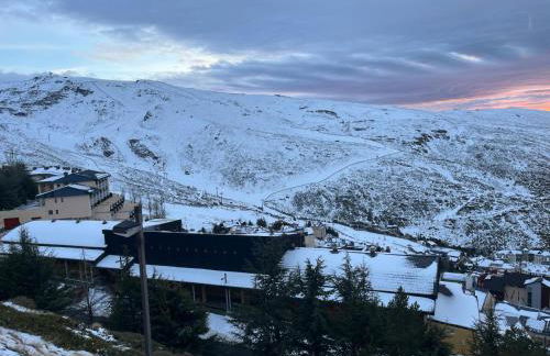 Biznaga Nevada - Foto 49