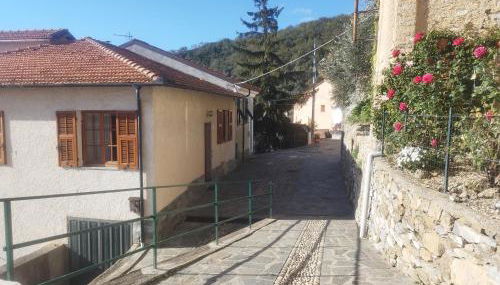 Serenità tra gli ulivi - Foto 4, Other