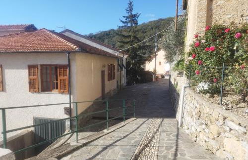 Serenità tra gli ulivi - Foto 4