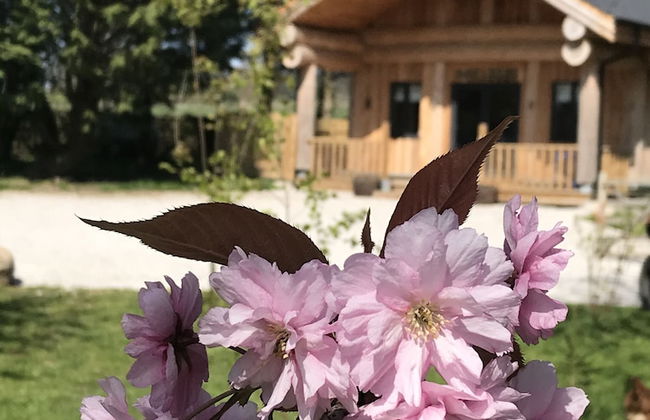 Braisty Woods - Hopes & Beams - Foto 16