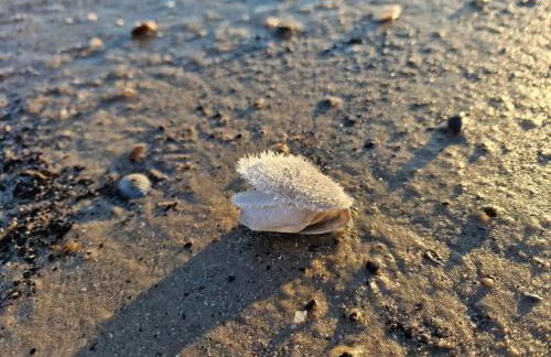 Ferienwohnung Justus - Foto 22