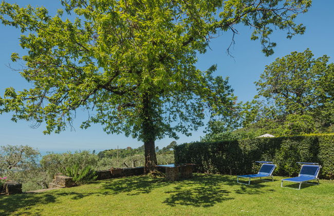 Di Carlino - Foto 28