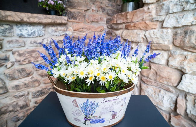 Belvilla by OYO Il Conio Lavanda - Foto 30