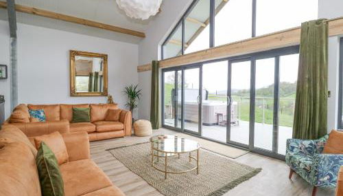 Barcud Coch - Red Kite - Photo 4