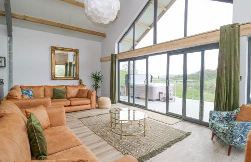 Barcud Coch - Red Kite - Photo 4