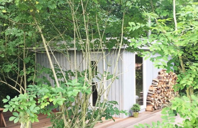 Johannisnest Comfortable Holiday Residence - Foto 40