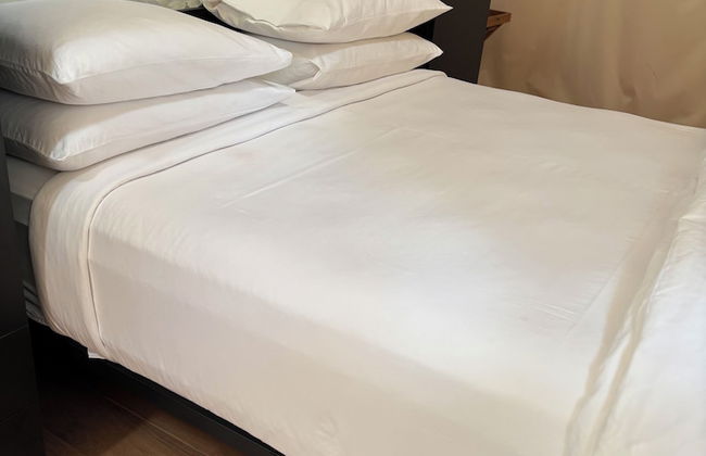 Domes at Catskills - Photo 15