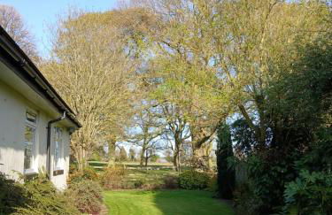 The Herons - Foto 24