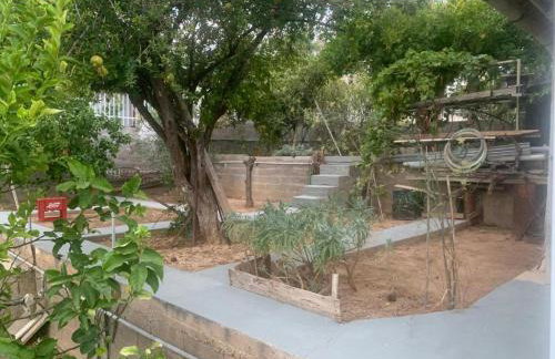 Kristas studio - Foto 15