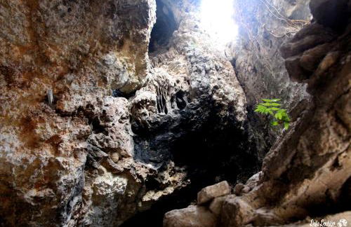 Casa Rural Casa Gimeno - Foto 30