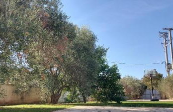 Gianni & Sophia airport house - Foto 7