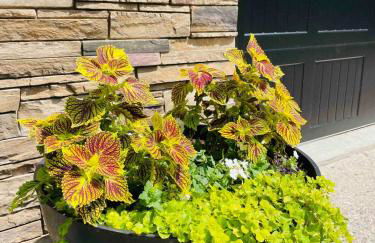 Lake Escape with paddle boards, fire pit & game room - Foto 19