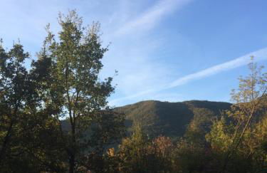 la masseria di Antonio e Teresina - Foto 55