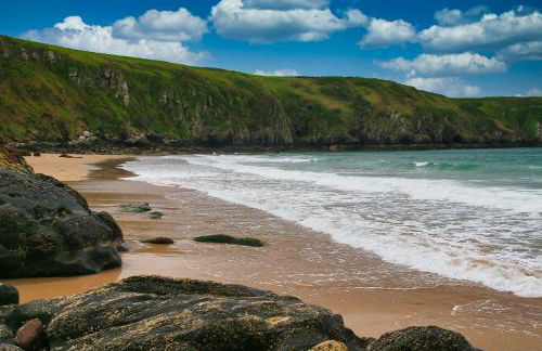 Shearwater - Foto 33