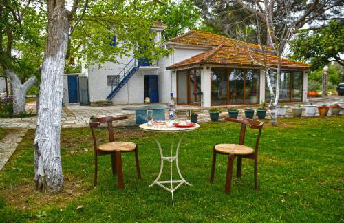 The Ranch of Ancient Ilida - Foto 8