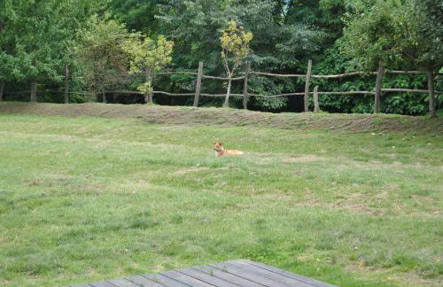 Agriturismo la Sforzata - Photo 52