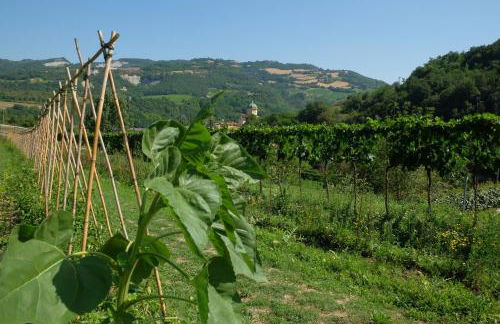 Agriturismo Campo Rosso - Foto 55