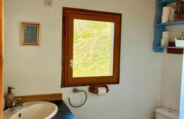 Les Chatcureuils - Foto 18