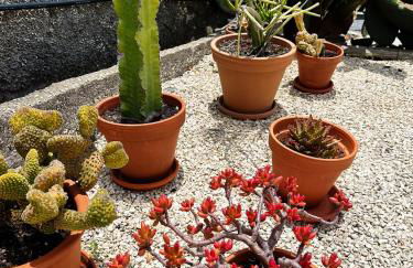 THE L lodge, ocean view garden Country House - Photo 42