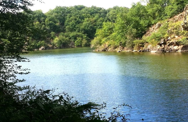 Gîtes LES Fougeres DU LAC - Foto 126