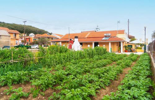 Loutra Holiday House - Foto 14