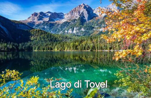 Agritur Gioia - Photo 21