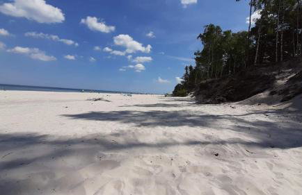 Zielony Domek z jacuzzi - Foto 42