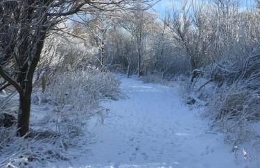 Berryhill East Steading - 3 bedroom 2 bathroom self-catering - sleeps 6 - Private off-road parking - Yard & Shed - Suit Contractors - Peterhead 1 mile - Newly Refurbished - Underfloor Heating - Drying Room - Golf Driving Range - Cafe - Extensive Footpaths - Foto 19