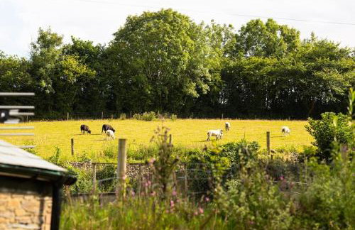 Cornwall cottage The Old Piggery - Photo 14