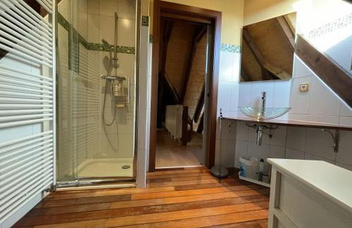 CoCoHaus, villa 10 personnes en Alsace à Niederbronn les bains, cures et famille - Foto 26