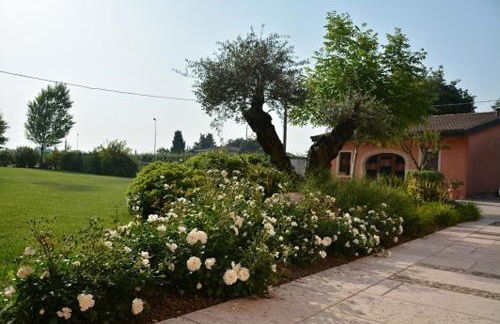 Agriturismo Corte Morandini - Foto 10