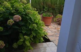 Apartment Ante - Foto 21