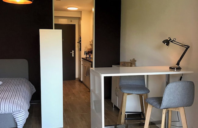 Large Studio Near Epfl And Lausanne City Center - Photo 8