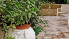 Xenia Boutique Apartment - Foto 5, Garden