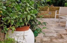 Xenia Boutique Apartment - Foto 5