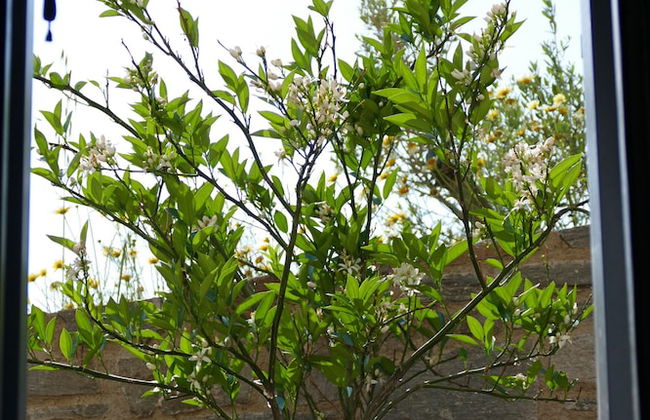 Serifos Houses Aghios Sostis - Foto 49