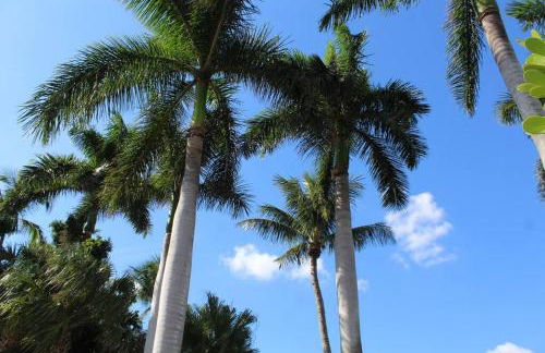 Florida Bella Rosa near IMG Academy & beaches - Foto 45