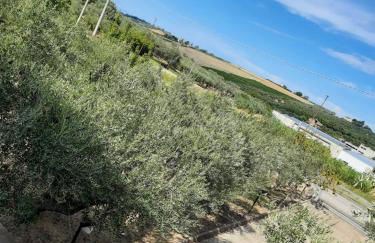 Appartamento L'Acero - Foto 21