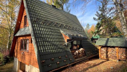 Domek w Lesie - Foto 2