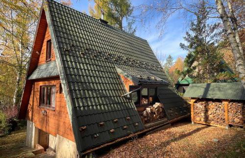 Domek w Lesie - Foto 2