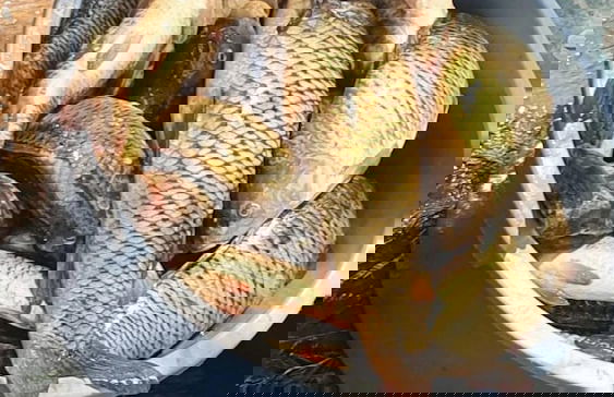 Apartmani Karučki krš - Foto 61