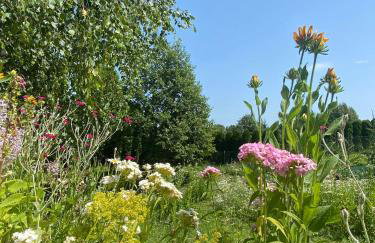 Lazurowy Brzeg - Foto 13