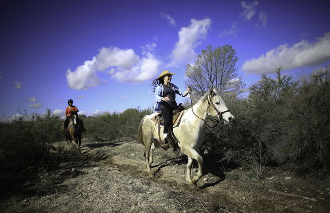 Tanque Verde Ranch - Photo 47