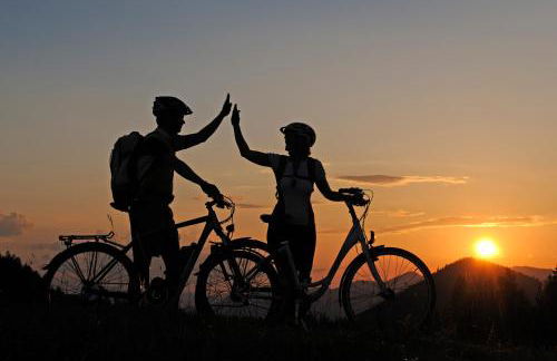 Mein Chalet - Foto 22