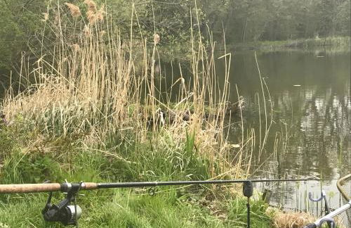 Ferienwohnung Hoppelnase mit eigener Sauna - Foto 27