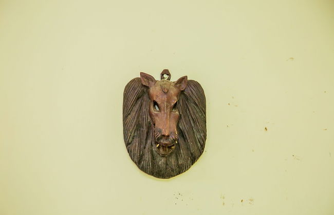 Villakwetu Cottages Diani Beach - Foto 77