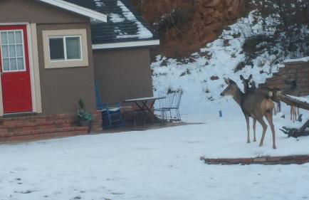 Cozy Lakeside Cottage - Foto 15